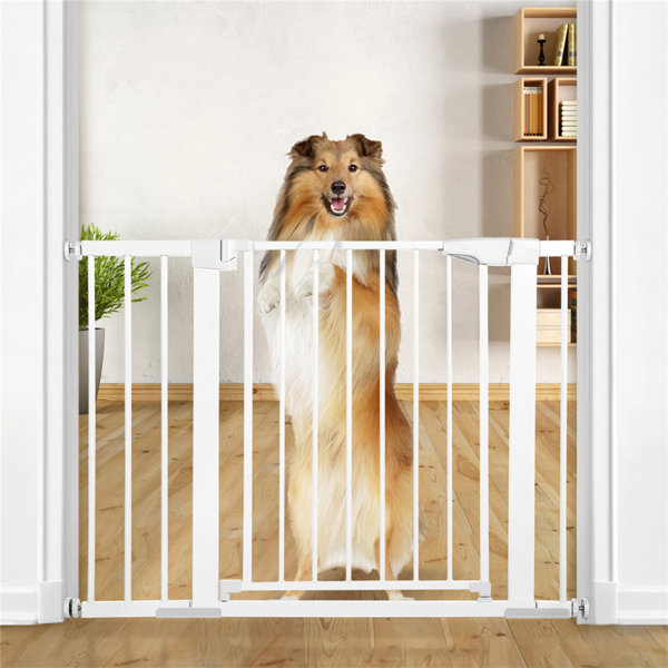 KingSo 30in Tall Pressure Mounted Pet Gate & Reviews Wayfair